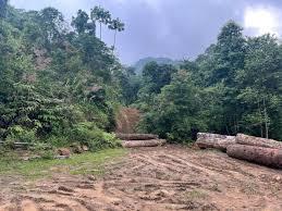 Image courtesy: article 14